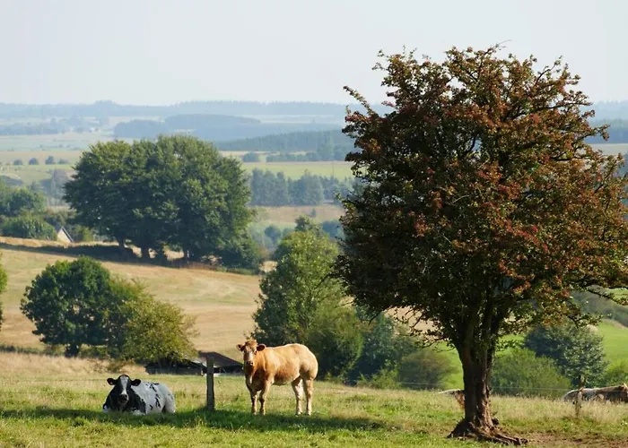 Gite Meunier, Tu Dors